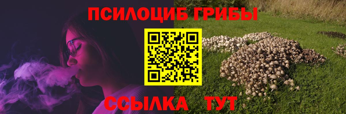 Валуйки  Псилоцибиновые грибы ЛСД  Галлюциногенные грибы Cubensis  Вход с VPN 