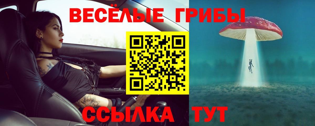 Галлюциногенные грибы ЛСД Валуйки
